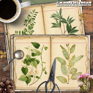 Papéis, Cartões Digitais Imprimíveis, Vintage, Cartões, Botânico, Artesanato, Scrapbook, Junk Journal, TAGS,