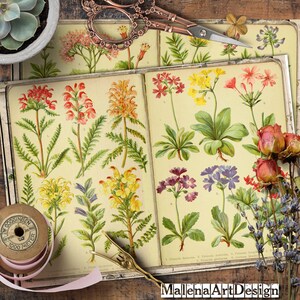 Papéis, Cartões Digitais Imprimíveis, Vintage, Cartões, Senhoras, Artesanato, Moda, Scrapbook, Junk Journal, TAGS,