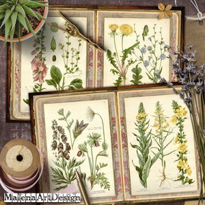 Papéis, Cartões Digitais Imprimíveis, Vintage, Papéis para Artesanato, Scrapbook, Junk Journal