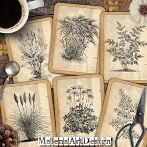 Papers, Botanical, Card, Retro, Vintage, Junk Journal, Digital Cards Printables, Papers For Crafts, Scrapbook, Includes GIFT printables!