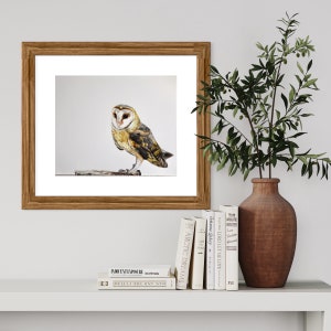 A4 Open Edition Kerkuil Print - Nachtwacht - Kerkuil - Wildlife - Vogels