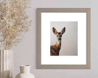Silent Stare - Open Edition Print - Wildlife - Roe Deer