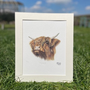 Highland Cow Giclée Limited Edition print-Scottish Highland cow