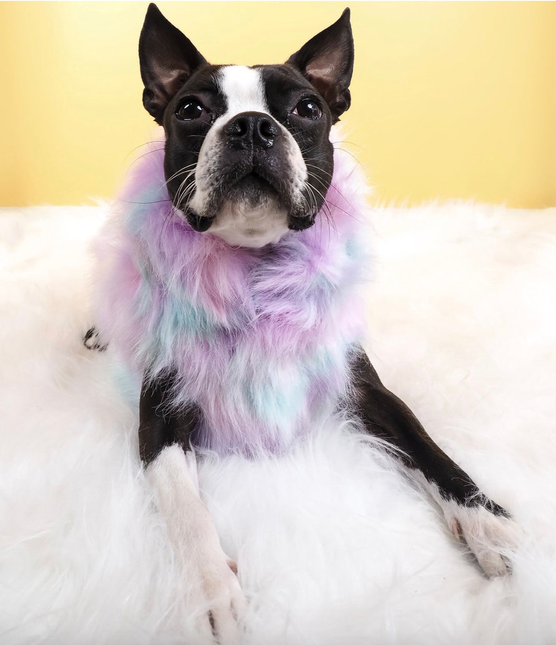Marshmallow Faux Fur Dog Jacket image 2