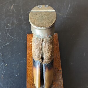 May include: A taxidermied deer foot with a brass cap that reads "MOUNT AT SLOLEY WOOD KILLED AT BLUE ANCHOR 1897"
