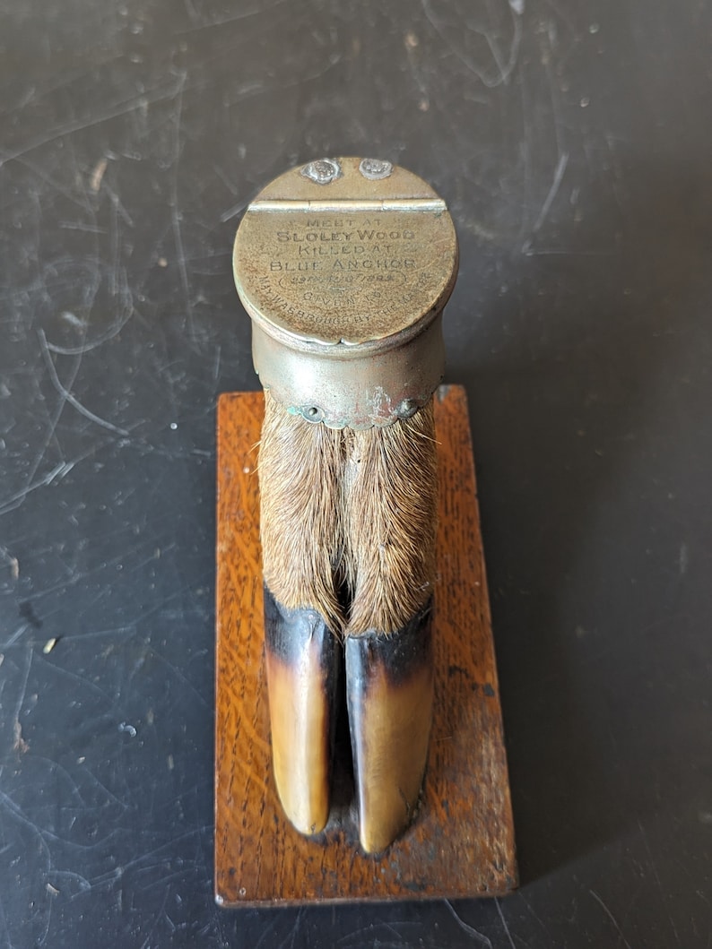 May include: A taxidermied deer foot with a brass cap that reads "MOUNT AT SLOLEY WOOD KILLED AT BLUE ANCHOR 1897"