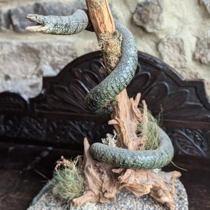 May include: A taxidermied snake coiled around a piece of driftwood with green moss and grass. The snake is green and grey with a textured skin. The driftwood is brown and has a rough texture. The snake is mounted on a base of small grey stones.
