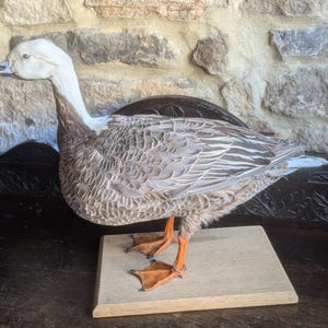 Op de afbeelding: Een gans met een witte kop, grijze veren en oranje poten is gemonteerd op een houten voet.