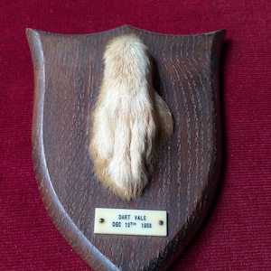 Op de afbeelding: Een gemonteerde dierenpoot op een schildvormige houten plaat. De poot is lichtbruin en harig. Een klein rechthoekig label eronder luidt "DART VALE DEC 12TH 1953". De plaat is donkerbruin.