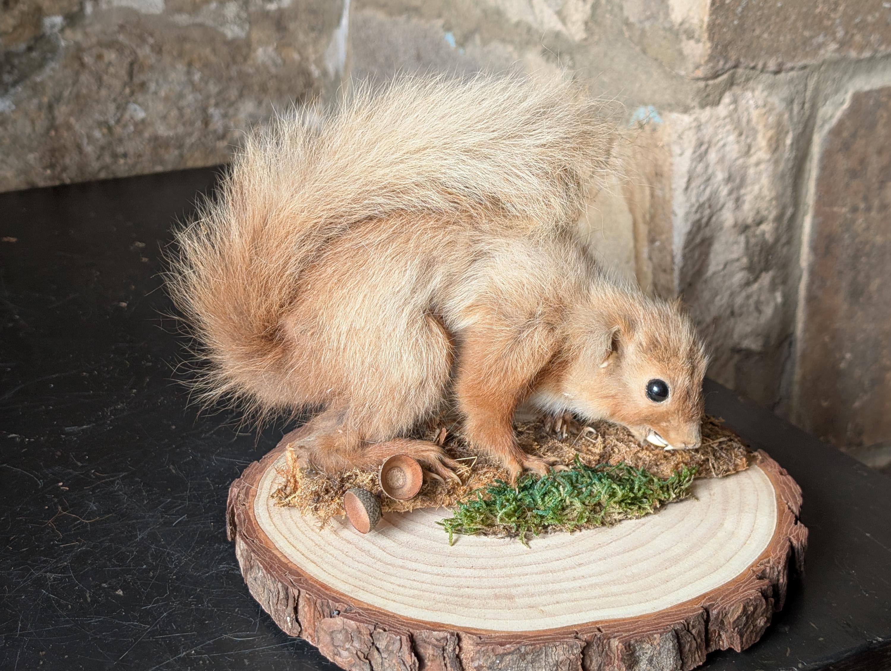 HANSA Red Squirrel Puppet Doll 7162 Multi-Color