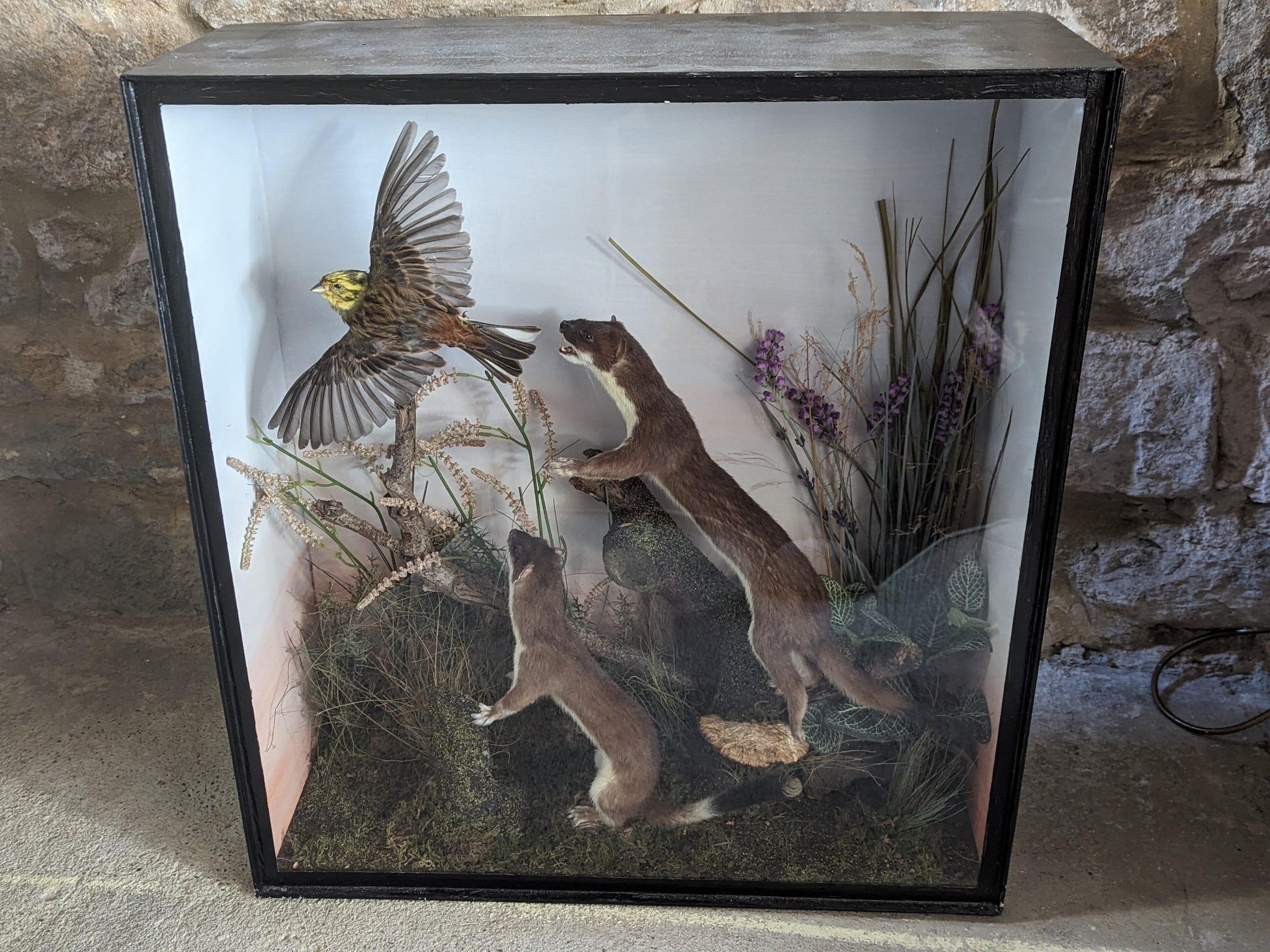 動物のはく製 - ビンテージ - Etsy 日本