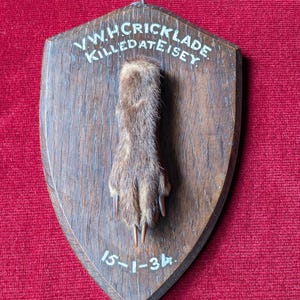 Könnte beinhalten: Vintage Holzschild mit montierter Tierpfote. Auf dem Schild steht "V.W.H.CRICKLADE KILLED AT EISEY" und das Datum "15-1-34". Die Pfote ist braun und pelzig, mit sichtbaren Krallen. Das Schild hat eine schildförmige Form.