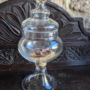 Könnte beinhalten: Ein klares Apothekerglas mit dekorativem Deckel, das auf einem klaren Glassockel ruht. Im Inneren des Glases befindet sich eine kleine Menge Sand und ein dekorativer Gegenstand. Das Glas wird auf einer dunklen Holzoberfläche ausgestellt.
