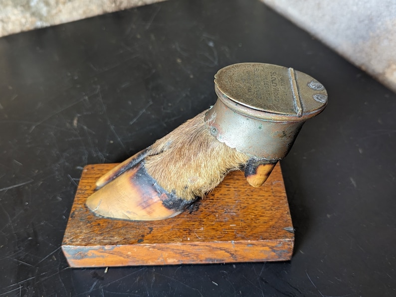 May include: A vintage, taxidermied animal foot inkwell with a brass lid. The lid has the inscription "Solid Wood Black Filled Inkwell". The foot is mounted on a wooden base.