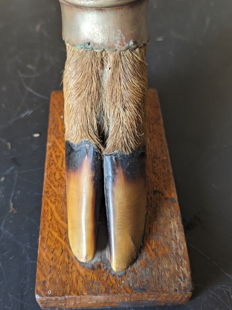 May include: A vintage bottle stopper made from a deer hoof with a silver band and decorative trim. The hoof is mounted on a wooden base.