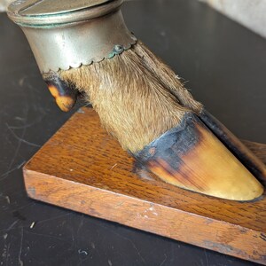 May include: A vintage animal foot paperweight with a silver top and a wooden base. The foot is covered in brown fur and has a dark brown hoof.