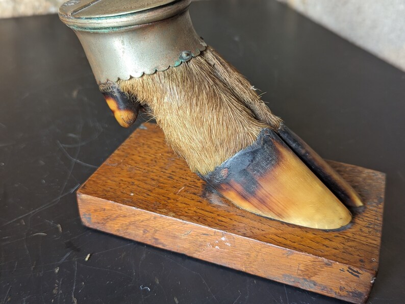 May include: A vintage animal foot paperweight with a silver top and a wooden base. The foot is covered in brown fur and has a dark brown hoof.