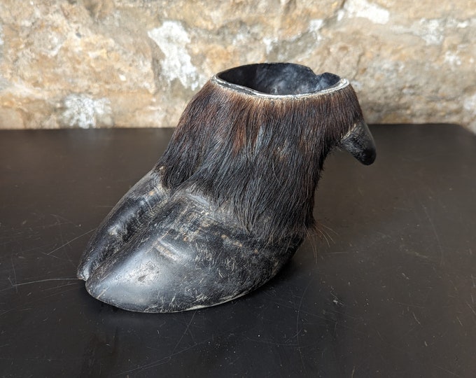 An Unusual Antique Taxidermy Cape Buffalo Hoof Bowl / Ashtray. South
