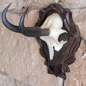 May include: A mounted animal skull with dark brown horns and a carved wooden plaque. The skull is white, and the horns are curved. The plaque is dark brown with decorative carvings. The piece is mounted on a light brown stone wall.