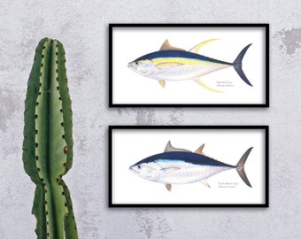 Tuna giclee prints, Albacore, Bluefin Tuna, Bigeye Tuna, Longtail Tuna, Yellowfin Tuna, tuna giclee, tuna prints, fish prints, giclee prints