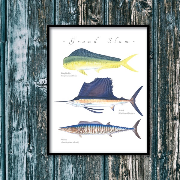 Dolphinfish, Sailfish, Wahoo grand slam giclee print