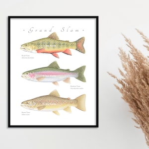 Brook, Rainbow, and Brown Trout grand slam giclee print; Brook Trout giclee, Rainbow & Brown Trout giclee, grand slam giclee, fish print