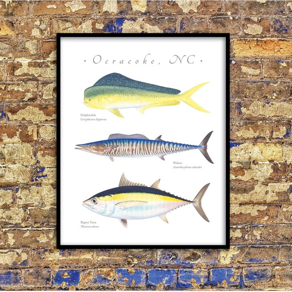 North Carolina Dolphinfish, Wahoo, Bigeye giclee prints; CUSTOMIZABLE, Dolphinfish gilcee, Wahoo giclee, Bigeye Tuna giclee, fish print