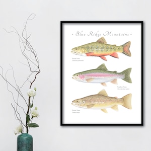 Blue Ridge Mountains trout giclee print; CUSTOMIZABLE, trout giclee, Virginia giclee, rainbow trout, brown trout, brook trout, fish print