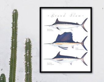 Black Marlin, Sailfish, Blue Marlin Grand Slam giclee print; Black Marlin giclee, Sailfish giclee, Blue Marlin giclee, Marlin, fish print