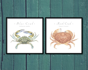 Blue Crab/Rock Crab giclee prints; Blue Crab giclee, Rock Crab giclee, Blue Claw Crab giclee, Steamer giclee, crab giclee, crab print