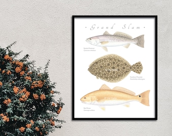 Seatrout, Flounder, Red Drum Grand Slam/Panhandle Slam giclee; Seatrout giclee, Flounder giclee, Red Drum giclee, Redfish giclee, fish print