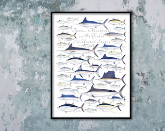 18x24 Tunas, Mackerels and Billfishes of the United States poster, billfish poster, tuna poster, marlin poster, sailfish, bluefin, yellowfin