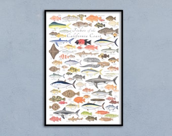 24x36 Fishes of the California Coast poster, California fish poster, California fish print, California marine fish poster