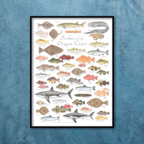 18 x 24 vissen van de kust van Oregon; Poster Vissen van Oregon; Oregon Fishes-poster