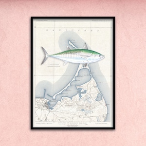 18x24 Nantucket & Little Tunny with vintage NOAA chart poster; Nantucket poster, Nantucket print, Albie poster, vintage NOAA