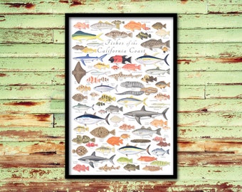 FRAMED 24x36 Fishes of the California Coast poster; framed Fishes of the California Coast poster; framed California poster; ready to hang