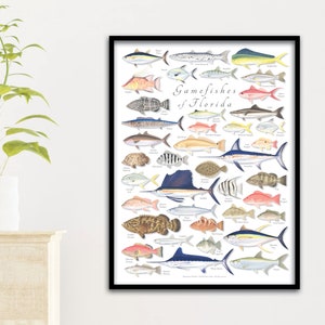 18x24 Gamefishes of Florida poster, Florida fishes, fishes of Florida, Florida fish poster