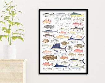 18x24 Gamefishes of Florida poster, Florida fishes, fishes of Florida, Florida fish poster