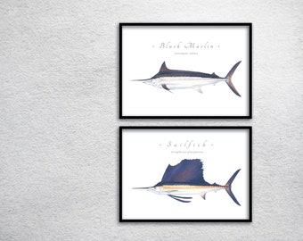 Billfish giclee prints; marlin giclee, Sailfish, Black Marlin, Blue Marlin, Spearfish, White Marlin, Swordfish, Striped Marlin, fish print