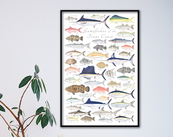 24x36 Gamefishes of the Texas Coast poster, Texas Coast poster, Texas Gamefish poster, Texas fish poster, Texas fish print