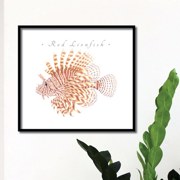 Red Lionfish giclee print, Lionfish giclee, Volitans Lionfish giclee, Firefish giclee, Red Firefish giclee, Pterois volitans, fish print