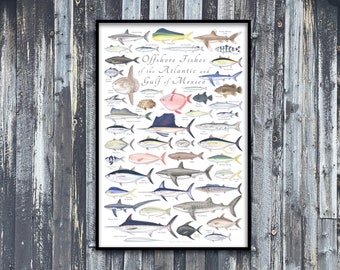 24x36 Offshore Fishes of the Atlantic & Gulf of Mexico poster, offshore fish poster, offshore Atlantic poster, Gulf of Mexico poster