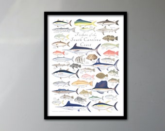 FRAMED 18x24 Fishes of the South Carolina Coast poster; framed South Carolina saltwater fish poster; South Carolina fish poster