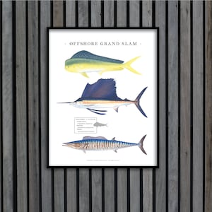 Puede incluir: Un póster blanco con el texto "OFFSHORE GRAND SLAM" en la parte superior. El póster presenta ilustraciones de tres peces: un mahi-mahi amarillo y verde, un marlin azul y un wahoo. El póster también incluye una pequeña tabla con información sobre los peces.