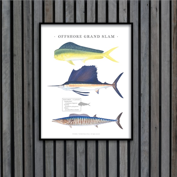 11x14 Offshore IGFA Grand Slam print; Dolphinfish, Sailfish, Wahoo; IGFA grand slam; grand slam print