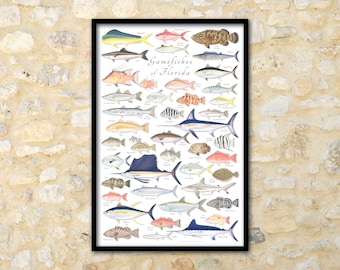 May include: A colourful illustrated poster featuring a variety of gamefishes found in Florida. The poster is framed in black and includes the title "Gamefishes of Florida".