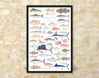 24x36 Gamefishes of Florida poster; Florida gamefishes poster; Florida marine fish poster