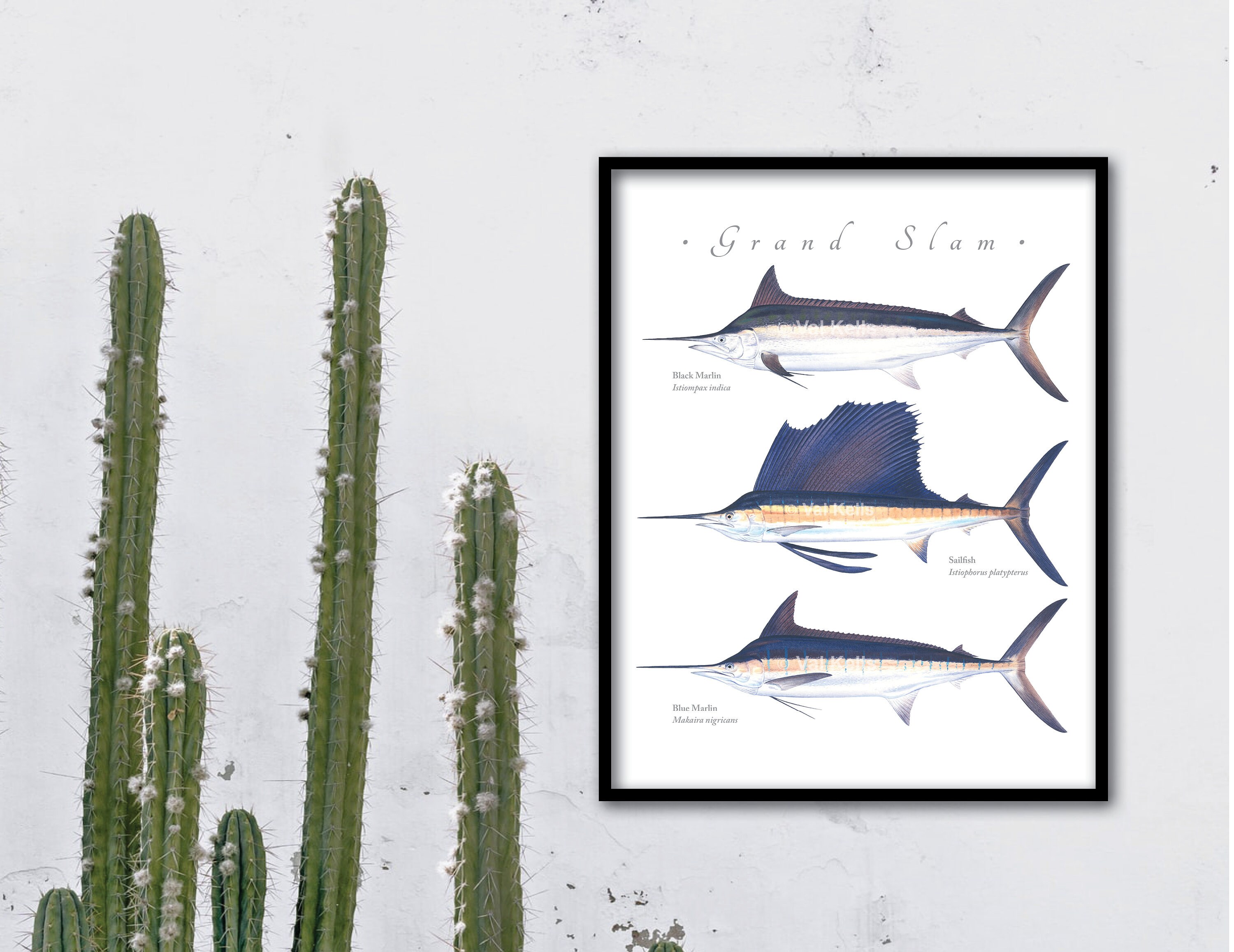 CUSTOMIZABLE Black Marlin, Sailfish, Blue Marlin Grand Slam Giclee