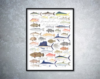 18x24 Gamefishes of Islamorada poster; Islamorada gamefish poster; Islamorada poster