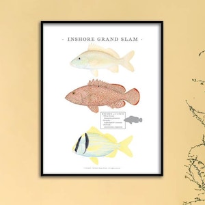 Puede incluir: Lámina artística enmarcada con ilustraciones en acuarela de tres especies de peces: un pez blanco, un pez rojo con manchas y un pez amarillo con rayas negras. La impresión se titula "Inshore Grand Slam."